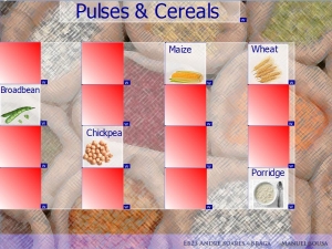 Pulses and Cereals Flipchart